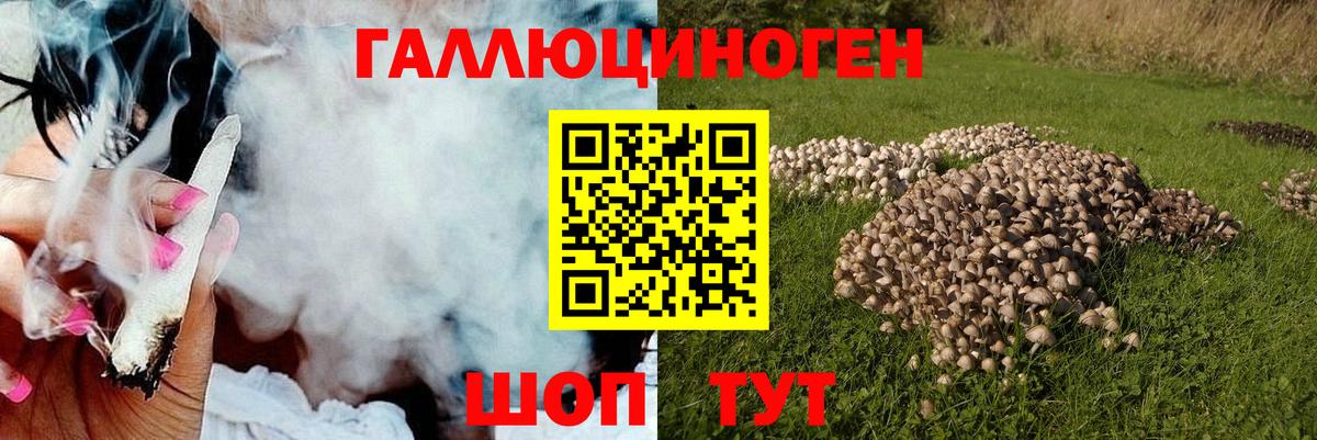 Псилоцибиновые грибы Psilocybine cubensis Минеральные Воды